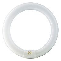 Лампа люминесцентная Osram L32W/840 T8 Кольцевая G10q 50-90В 32Вт 2250Лм 4000К 29х305мм картинка 